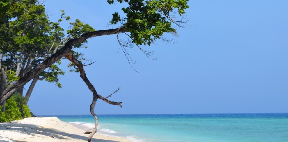 Andaman Tour Packages: Explore Paradise Your Gateway to Andaman's Beauty