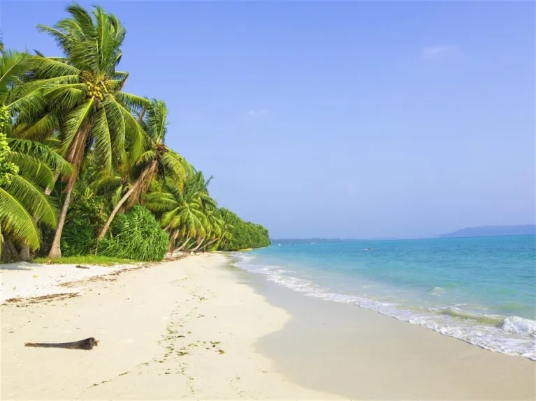 Andaman Tour Packages: Explore Paradise Your Gateway to Andaman's Beauty