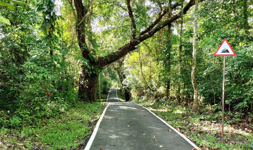 Andaman Tour – Mount Harriet: A Hidden Paradise Revealed