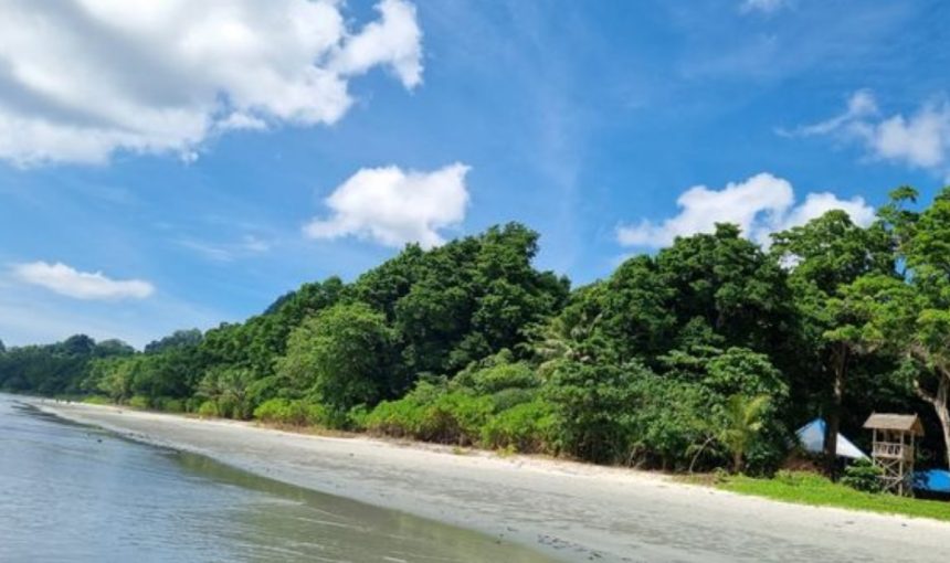 Exploring Paradise: A Comprehensive Guide to Andaman Tour – Havelock Island